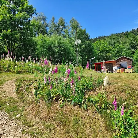 Pod Leskowcem - - Pod Wynajem Gospodarstwo agroturystyczne Jaszczurowa