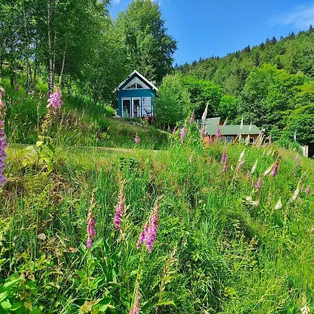 Pod Leskowcem - - Pod Wynajem Gospodarstwo agroturystyczne *