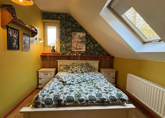 Pod Leskowcem - - Pod Wynajem Jaszczurowa