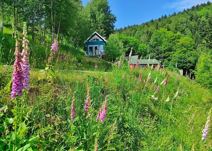Pod Leskowcem - - Pod Wynajem Gospodarstwo agroturystyczne *
